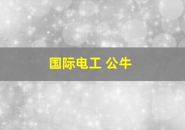 国际电工 公牛